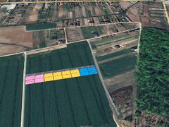 Padurea Snagov, Izvorani, loturi de teren la padure, 500-1000 mp