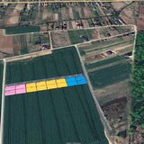 Izvorani Loturi de teren la padure  500-1000mp  Padurea Snagov